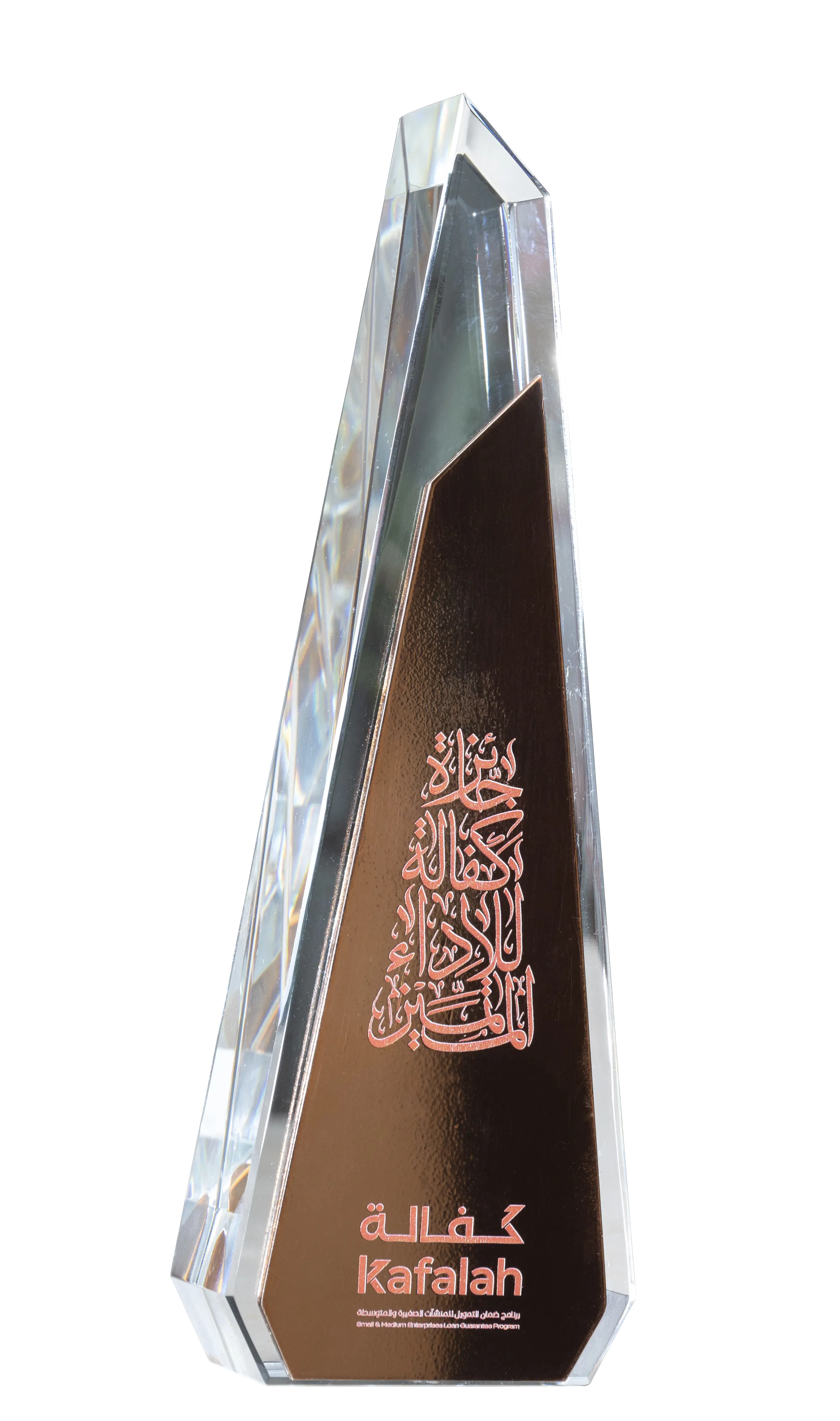 Financing Through Government Programs Award